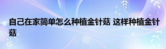 自己在家简单怎么种植金针菇 这样种植金针菇