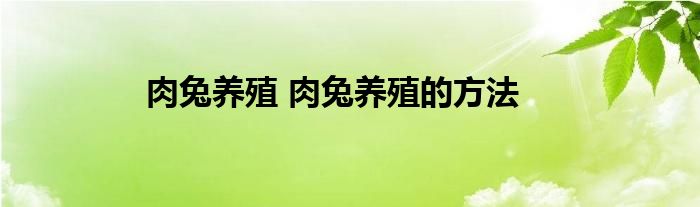 肉兔养殖 肉兔养殖的方法