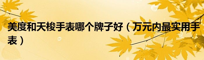 美度和天梭手表哪个牌子好(万元内最实用手表)