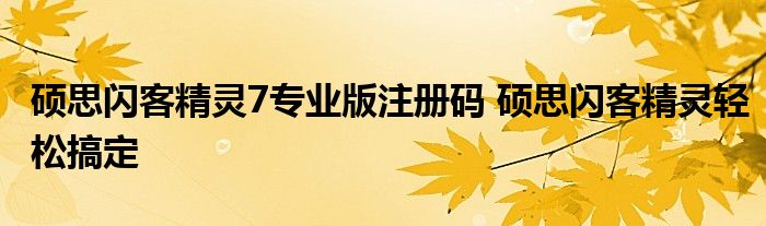 硕思闪客精灵7专业版注册码 硕思闪客精灵轻松搞定