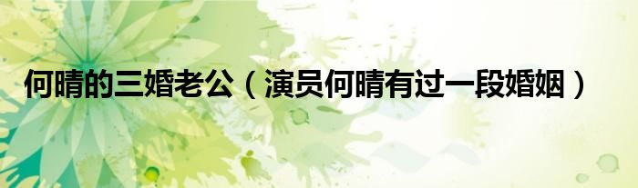 何晴的三婚老公(演员何晴有过一段婚姻)