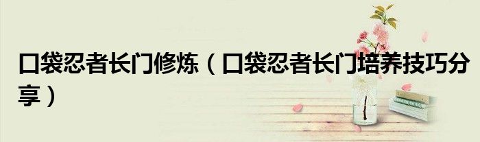 口袋忍者长门修炼(口袋忍者长门培养技巧分享)