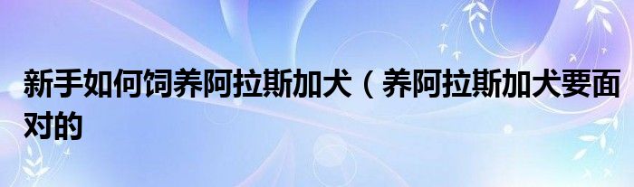 新手如何饲养阿拉斯加犬(养阿拉斯加犬要面对的