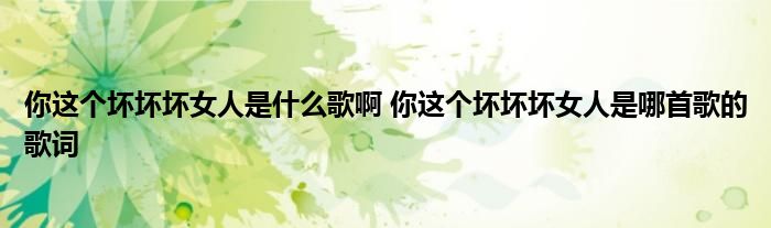 你这个坏坏坏女人是什么歌啊 你这个坏坏坏女人是哪首歌的歌词