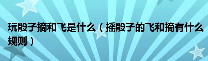 玩骰子摘和飞是什么(摇骰子的飞和摘有什么规则)