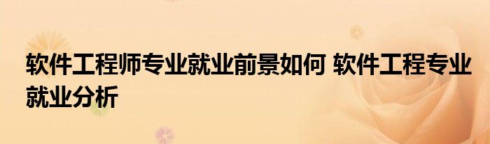 软件工程师专业就业前景如何 软件工程专业就业分析