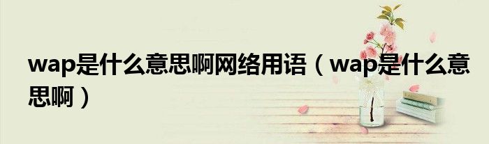 wap是什么意思啊网络用语（wap是什么意思啊）