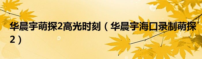 华晨宇萌探2高光时刻（华晨宇海口录制萌探2）