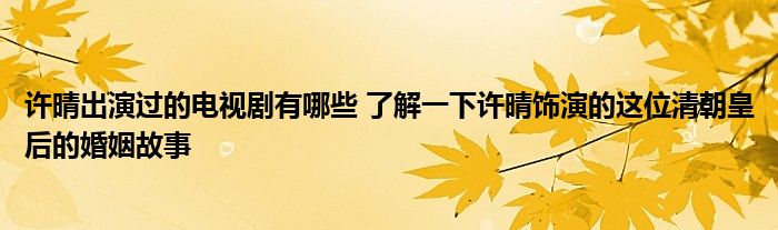 许晴出演过的电视剧有哪些 了解一下许晴饰演的这位清朝皇后的婚姻故事