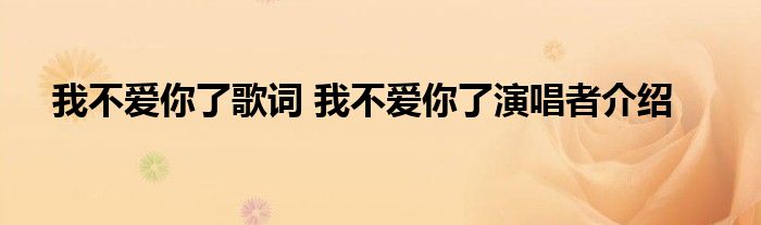 我不爱你了歌词 我不爱你了演唱者介绍