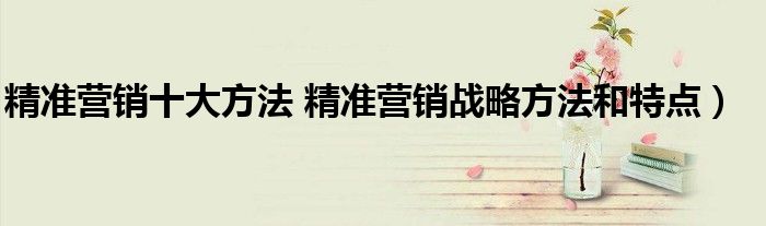 精准营销十大方法 精准营销战略方法和特点)