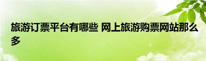 旅游订票平台有哪些 网上旅游购票网站那么多