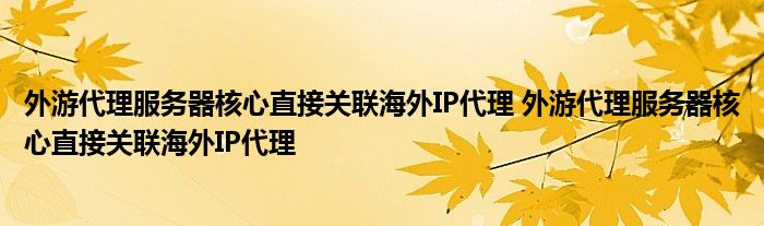外游代理服务器核心直接关联海外IP代理 外游代理服务器核心直接关联海外IP代理