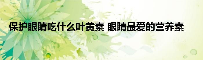 保护眼睛吃什么叶黄素 眼睛最爱的营养素