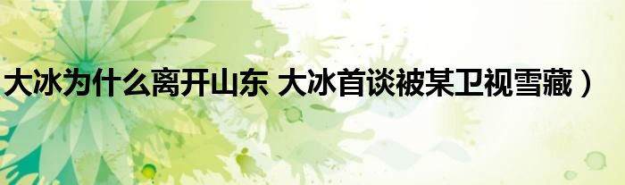 大冰为什么离开山东 大冰首谈被某卫视雪藏)