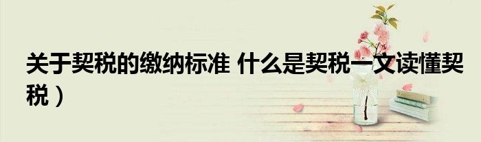 关于契税的缴纳标准 什么是契税一文读懂契税)