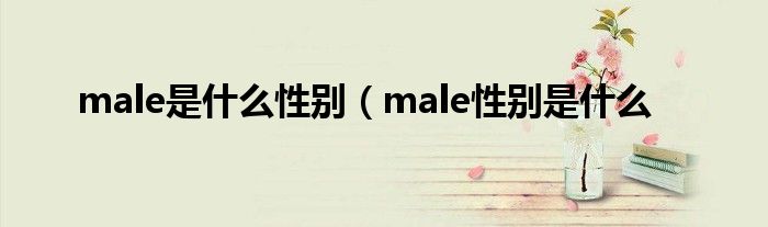 male是什么性别(male性别是什么
