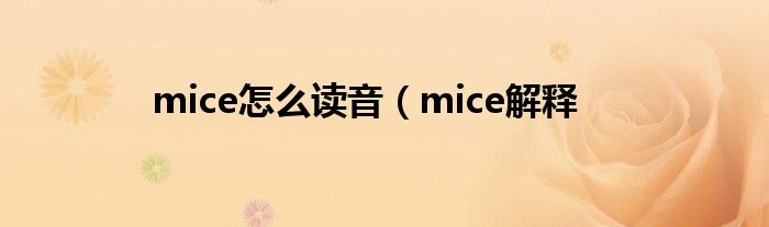 mice怎么读音(mice解释