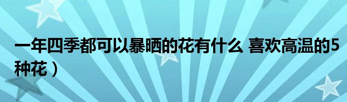 一年四季都可以暴晒的花有什么 喜欢高温的5种花)