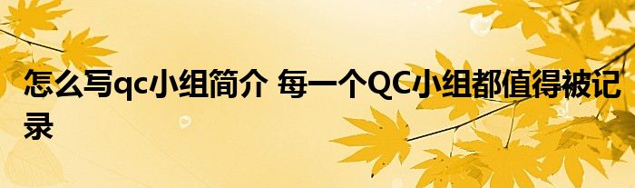 怎么写qc小组简介 每一个QC小组都值得被记录