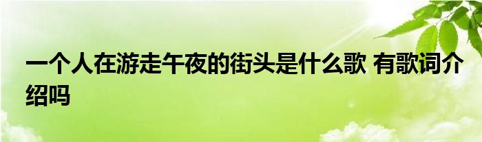 一个人在游走午夜的街头是什么歌 有歌词介绍吗