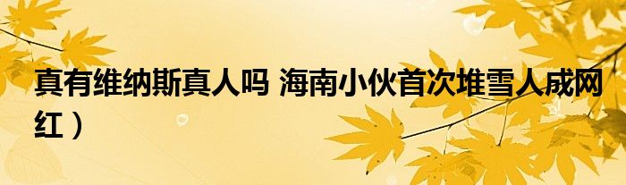 真有维纳斯真人吗 海南小伙首次堆雪人成网红）