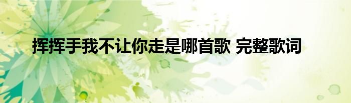 挥挥手我不让你走是哪首歌 完整歌词