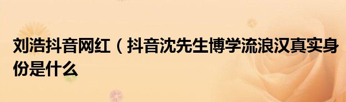 刘浩抖音网红(抖音沈先生博学流浪汉真实身份是什么