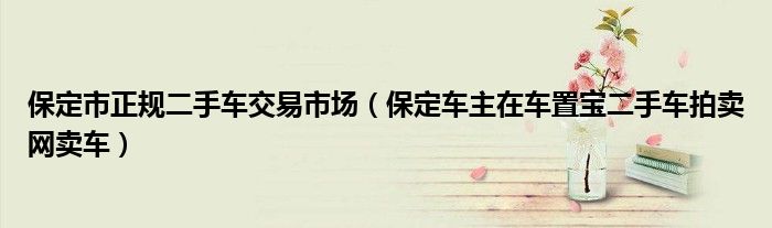 保定市正规二手车交易市场(保定车主在车置宝二手车拍卖网卖车)