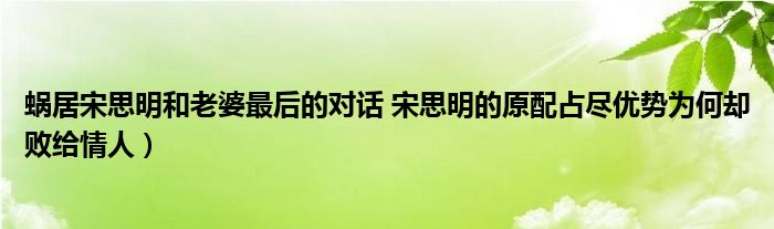 蜗居宋思明和老婆最后的对话 宋思明的原配占尽优势为何却败给情人)
