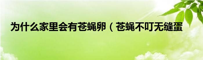 为什么家里会有苍蝇卵(苍蝇不叮无缝蛋