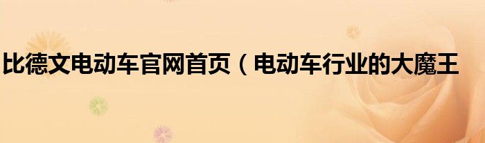 比德文电动车官网首页(电动车行业的大魔王