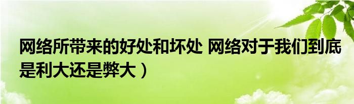 网络所带来的好处和坏处 网络对于我们到底是利大还是弊大)