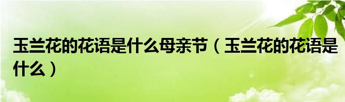 玉兰花的花语是什么母亲节(玉兰花的花语是什么)