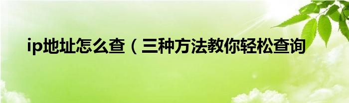 ip地址怎么查(三种方法教你轻松查询