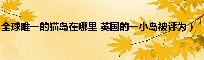 全球唯一的猫岛在哪里 英国的一小岛被评为)