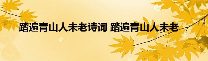 踏遍青山人未老诗词 踏遍青山人未老