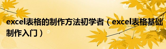 excel表格的制作方法初学者(excel表格基础制作入门)