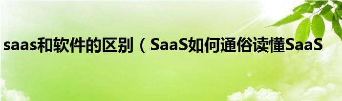 saas和软件的区别(SaaS如何通俗读懂SaaS