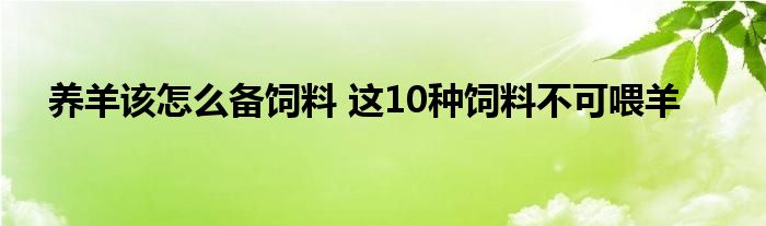 养羊该怎么备饲料 这10种饲料不可喂羊