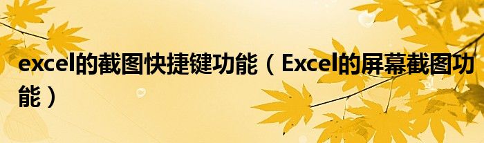 excel的截图快捷键功能（Excel的屏幕截图功能）