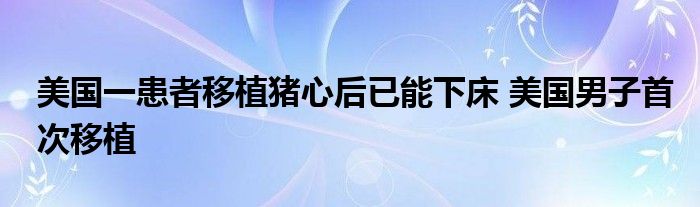 美国一患者移植猪心后已能下床 美国男子首次移植
