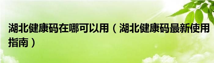 湖北健康码在哪可以用（湖北健康码最新使用指南）