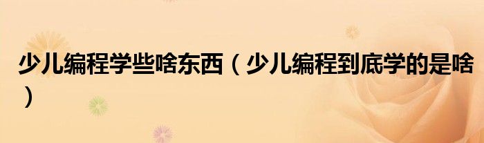 少儿编程学些啥东西(少儿编程到底学的是啥)