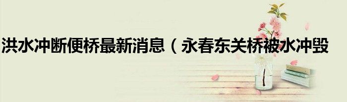 洪水冲断便桥最新消息（永春东关桥被水冲毁