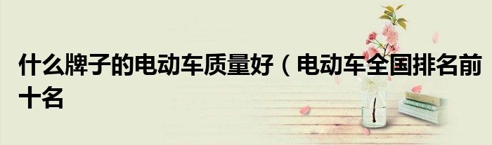 什么牌子的电动车质量好（电动车全国排名前十名
