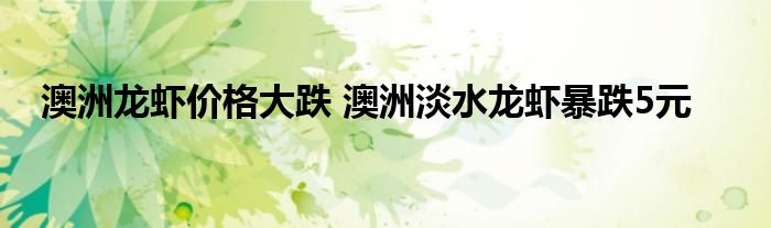 澳洲龙虾价格大跌 澳洲淡水龙虾暴跌5元
