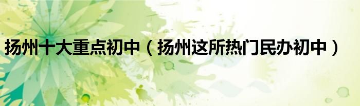 扬州十大重点初中(扬州这所热门民办初中)