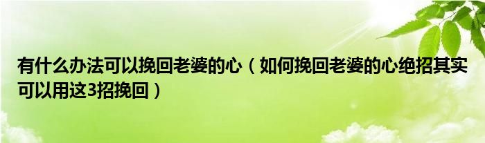 有什么办法可以挽回老婆的心（如何挽回老婆的心绝招其实可以用这3招挽回）