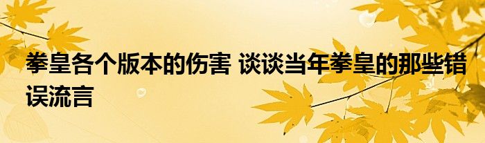 拳皇各个版本的伤害 谈谈当年拳皇的那些错误流言